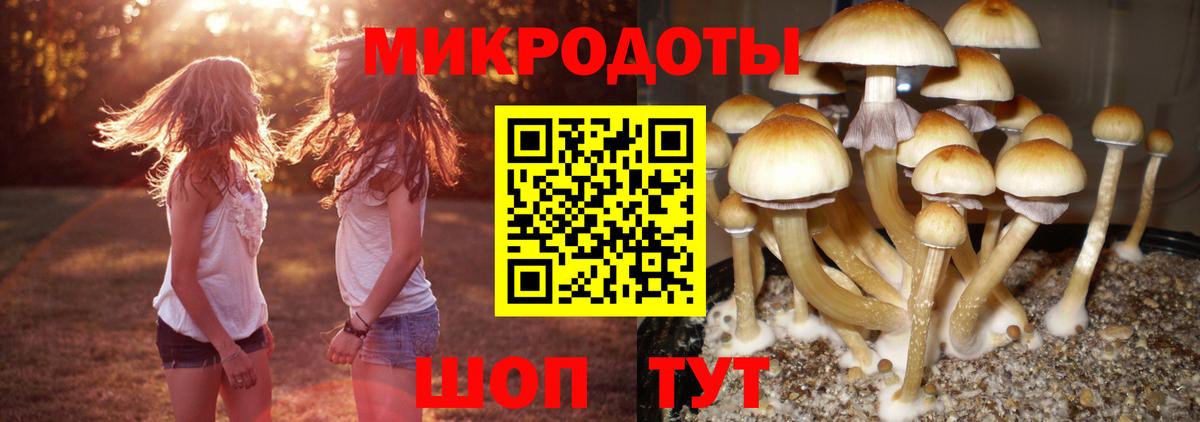 Прохладный  Галлюциногенные грибы мухоморы  Вход с VPN 