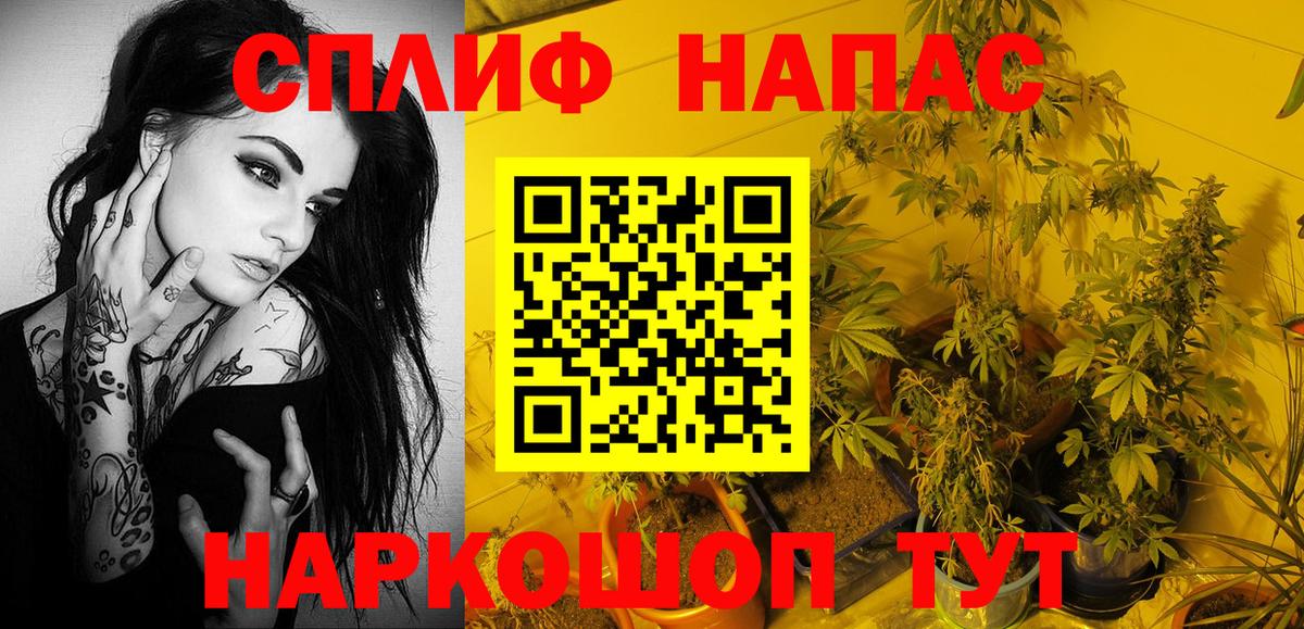 Бошки Шишки конопля Прохладный